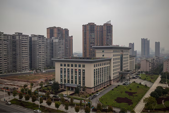 PPC Advertising in Indore